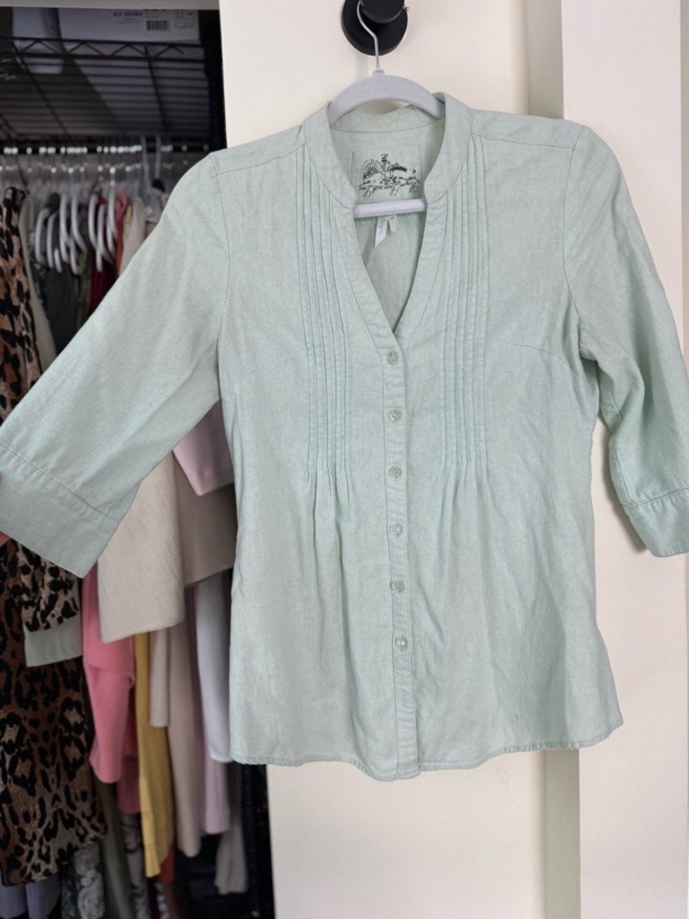 Debbie Morgan Mint Green Pintuck Button-Front Blouse - Breathable Linen